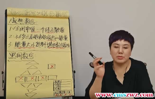 王茁琳生命数字学中阶课程视频37集插图