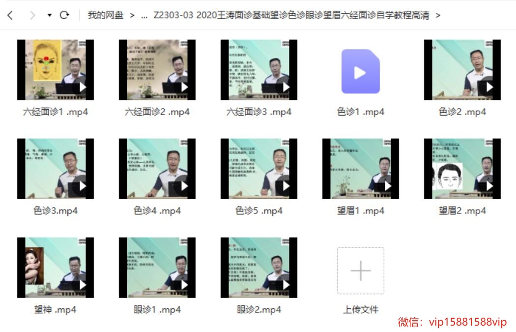 图片[1]-【中医】2020王涛面诊基础望诊色诊眼诊望眉六经面诊自学教程高清-股坨坨