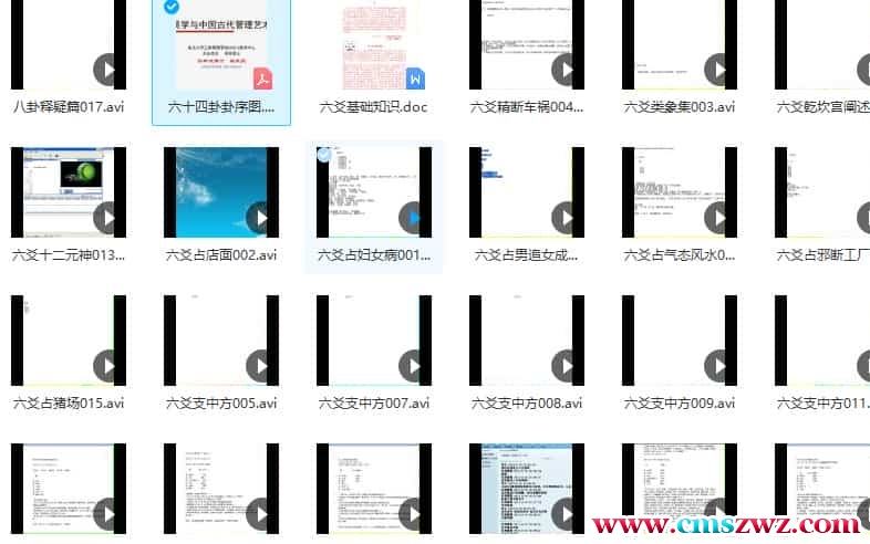 王法壬盲派六爻视频23集+2个资料pdf 百度盘下载插图