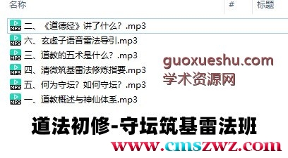 道法初修-守坛筑基雷法班录音插图