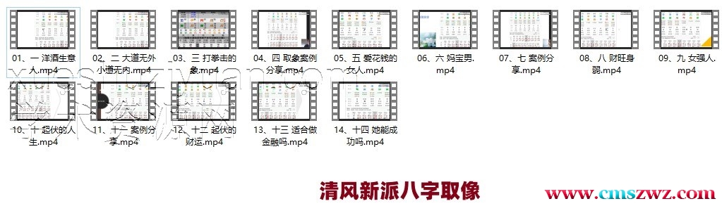 清风新派八字《八字取象法》14集插图